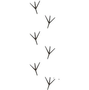 Акриловый штамп FA046 Следы птиц, размер 8,2 * 2,5 см