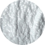 Кракелюрный гель ТМ "ScrapEgo "- Белый, 60мл