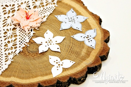 NEW. Ножи для вырубки от AgiArt "Набор южных цветов"