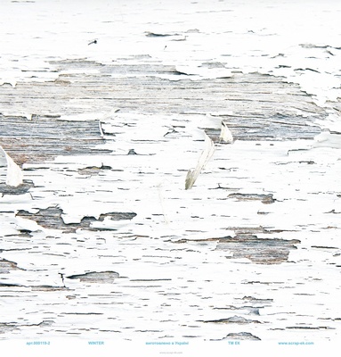 Набір паперу від Євгенія Курдібановська ТМ - Winter, 30x30 см, 8+2 аркушів