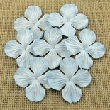 Набір гортензій, колір ніжний- блакитний, 25 мм, 20 шт.