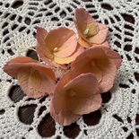 Гортензії з фоамірану з пелюстками з зубчастим краєм, діаметром 35 мм, колір персиковий, 5шт.