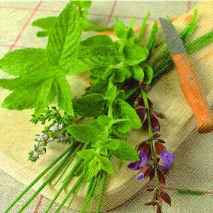 Серветка для декупажу "Свіжі трави на столі", розмір: 33х33 см