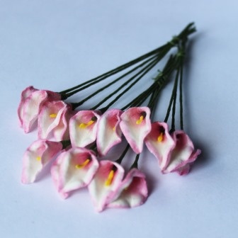 Кали біло-рожеві, квітка 15х20мм, стебло 8 см, 5шт.