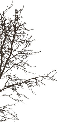 Акриловый штамп FL022 Дерево, размер 3,2 * 6,7 см