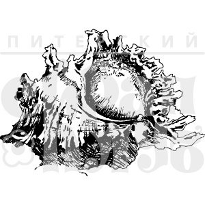 Акриловый штамп "Ракушка большая"