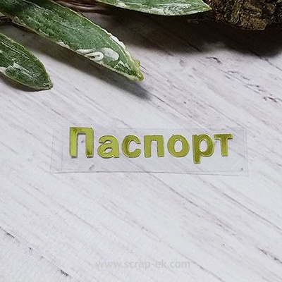 Термостійкий запис "Паспорт" №2, золото