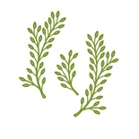 Лезвие Sue Wilson Dies - Finishing Touches Collection - Olive Branch 