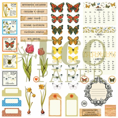 Набор вырубки от EcoPaper - "Атлас бабочек"