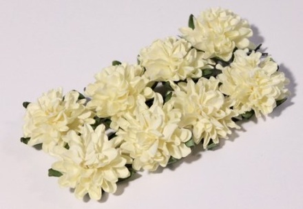 Айстри з паперу, кремові, 8 шт.