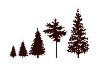 Набор акриловых штампов Christmas Stamp Trees SR080 Елки, 5 штук