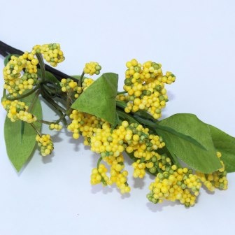 Гілочка, жовтий колір