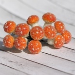 Грибочки помаранчеві в обсипці від ScrapBerryʼs, 12 шт.