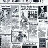 Тканина 100% бавовна - Газета собаки, 45x55см