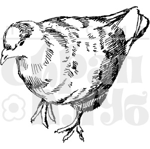 Акрилові штампи дизайну Олена Виноградова "Шукаючий голуб".