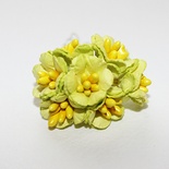 Лютики, колір салатовий, 7 шт.