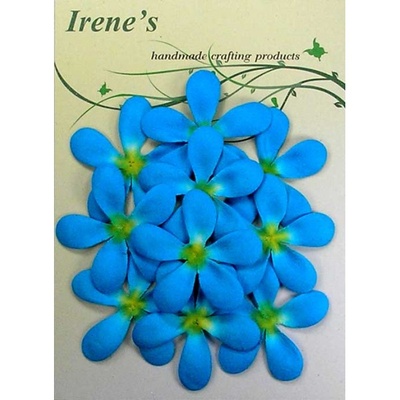 Жасмін, розмір упаковки: 12x16,7 см, колір: блакитний/ жовтий, 10 шт.