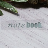 Термонапис «notebook» №3, срібло