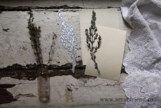 Нож для вырубки от  Scrapfriend - Тимьян, 3,5х13,5см