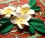 Ніж для вирубки Frangipani with Leaves від Cheery Lynn Designs