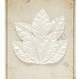 Набор листиков из шелковичной бумаги, 7 шт., роза, мелкие, белые