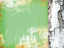 Аркуш скрап-паперу від Kaisercraft - BARK - BASE COAT