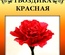 Набір паперу для виготовлення квітів - гвоздика червоного кольору