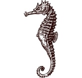 Акриловый штамп Stamp Hhippocampus Морской конек, размер 1,7 * 3,8