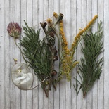 Набор сушеных хвойных веточек и лепестков