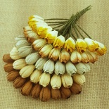 Набір тюльпанів (жовті і коричневі відтінки), 10мм, 10 шт.