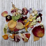 Набор сушеных лепестков