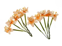 Набір лілій на стеблі від ScrapBerryʼs, колір вершково-персикова, 10 шт.