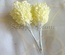 Веточки декоративные с цветными стебельками, цвет кремовый, 1 пучок из 8 штук