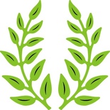 Набір ножів для вирубки Olive Branches від Cheery Lynn Designs