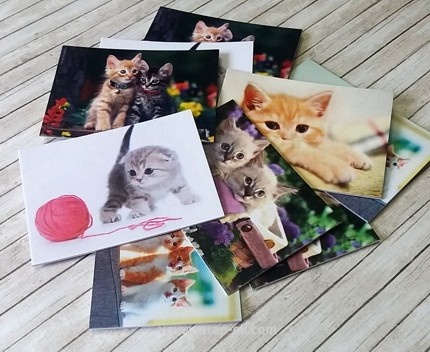 Набір карток від Євгенія Курдібановська ТМ - "Котята", 5x7 см, 10 шт.