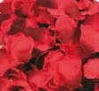 Пелюстки троянди, червоні, 50 багнети.