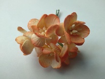 Цветы вишни, цвет кремово-оранжевый, диаметр - 25мм, 5 шт.