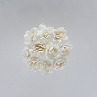 Гипсофилы, набор 10 шт., диаметр 1 см, белые