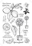 Набор акриловых штампов от Flourishes - Life, Love and Lemons Stamp Set