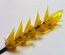 Гілочка жовтої купини, 17 см