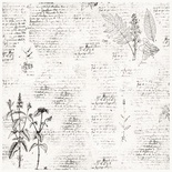 Деко велум (Аркуш кальки з малюнком) Botany Spring 1, ТМ Фабрика Декору