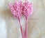 Веточки декоративные с цветными стебельками, цвет розовый, 1 пучок из 8 штук