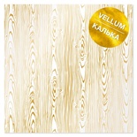 Аркуш кальки (велум) з фольгуванням Golden Wood Wood Texture 30,5х30,5см, ТМ Фабрика Декору