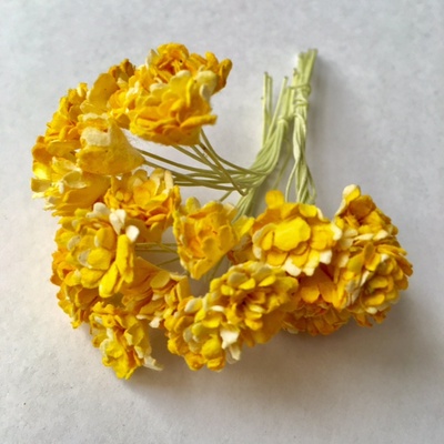 Гипсофила от Thailand - оранжево-желтые, 10 шт