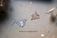 Ніж для вирубки від Scrapfriend - Бджола, 2.5х2см