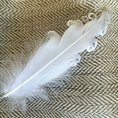 Перо белое гофре, 1 штука