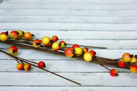 Гілочка з червоним-жовтими ягідками, середня 37см