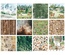Набір двостороннього паперу для скрапбукінгу Forest life 30,5x30,5 см 10 аркушів