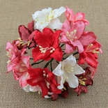 Лилии от Thailand, микс-набор: красные и белые, 30 мм, 50 шт.