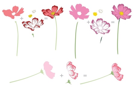 Набір штампів від Altenew - Stunning Cosmos Stamp Set